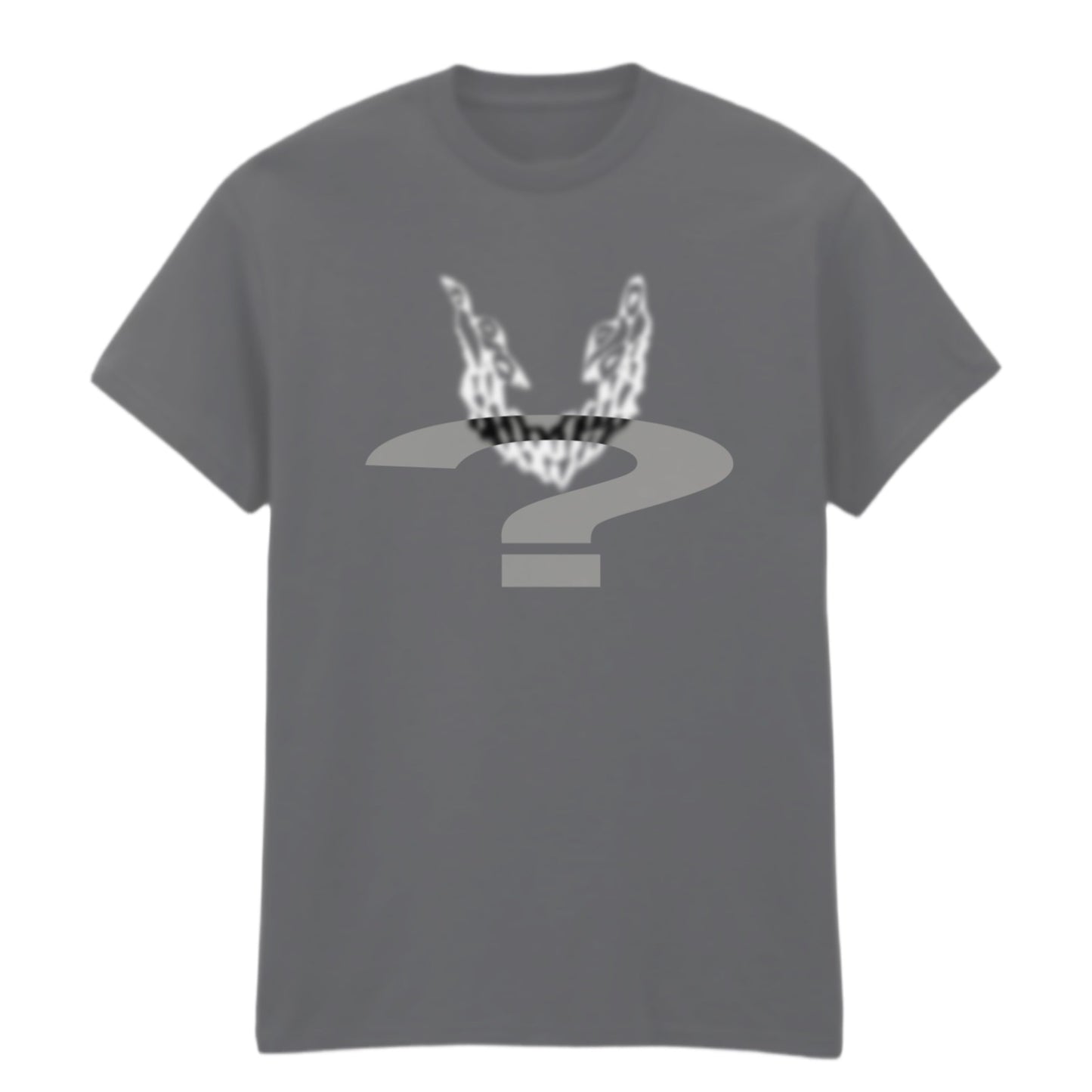 6Y DAY BLIND PICK SHIRT